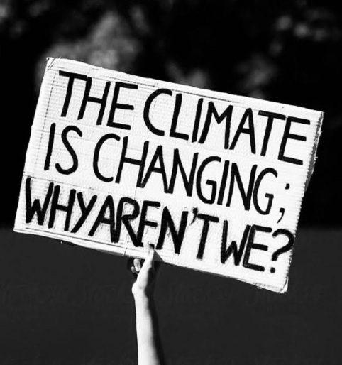 Our Planet, Our Responsibility